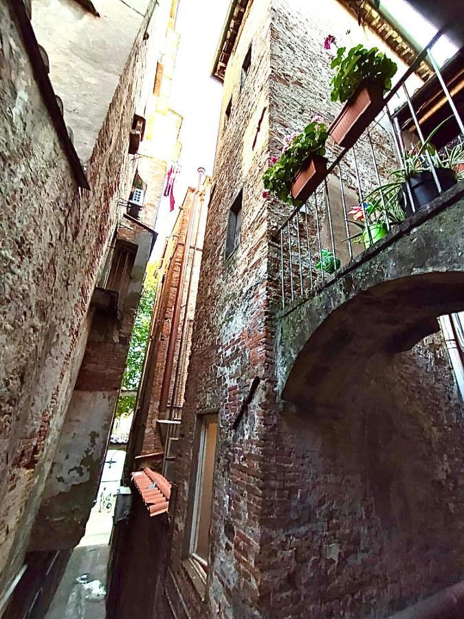 Piazza Napoleone Sweet Apartment ルッカ エクステリア 写真
